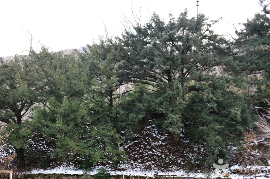 화순 가볼만한곳 베스트 10