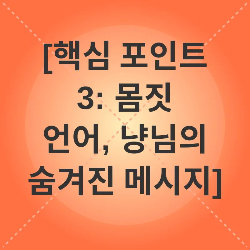 고양이 행동 언어_3