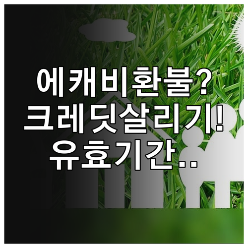 에어캐나다 비환불 표, 크레딧으로 살..