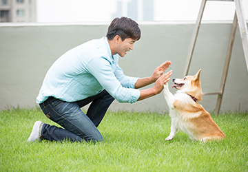 공공 우수야영장