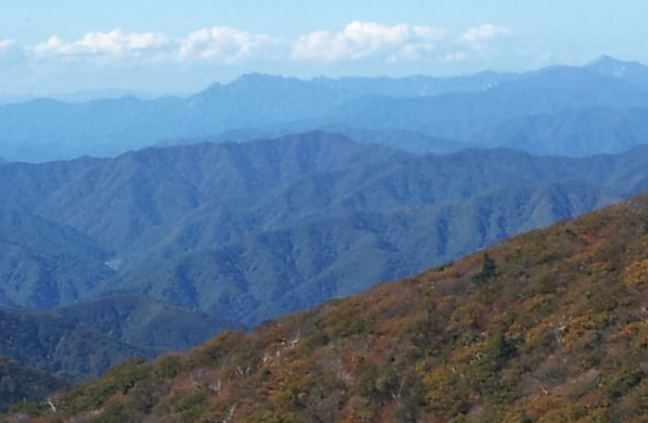 2025 오대산 단풍 절정 시기 공개! 가을 일정 &amp; 인기 등산 코스 TOP 5