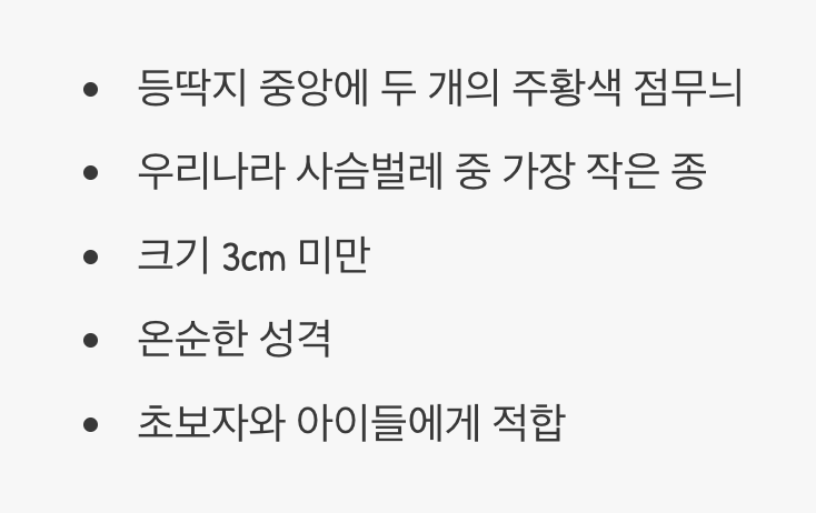 앙증맞은 두 개의 점, '두점박이사슴벌레'