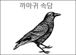 까마귀 속담