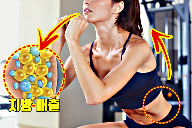 체지방 다이어트 살빠지는 운동 유산소 운동 호흡법,건강 팁줌