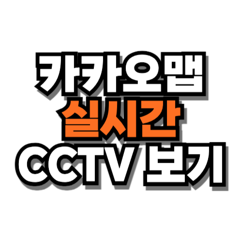 카카오맵 실시간 cctv보기