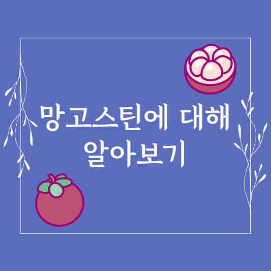 망고스틴