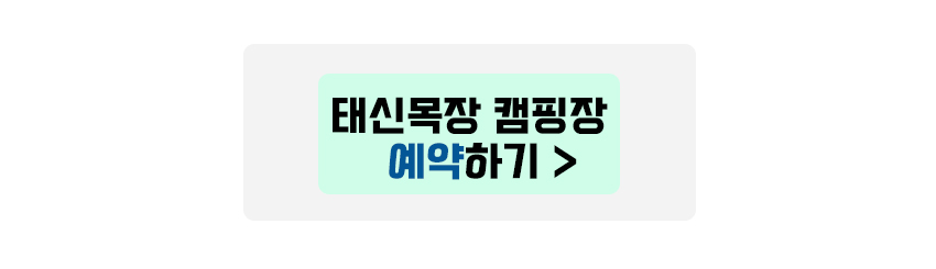 태신목장 캠핑장 예약하기