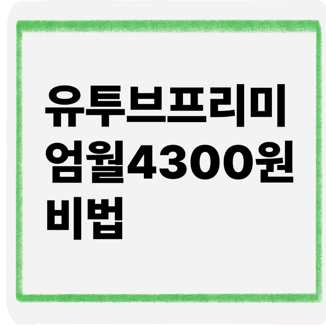 유투브프리미엄월4300원비법