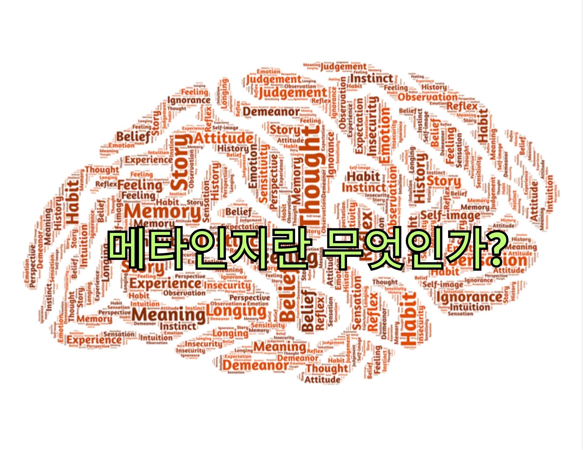 메타인지