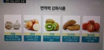 면역력 높이는 하루 루틴과 시간대별 건강 습관_23