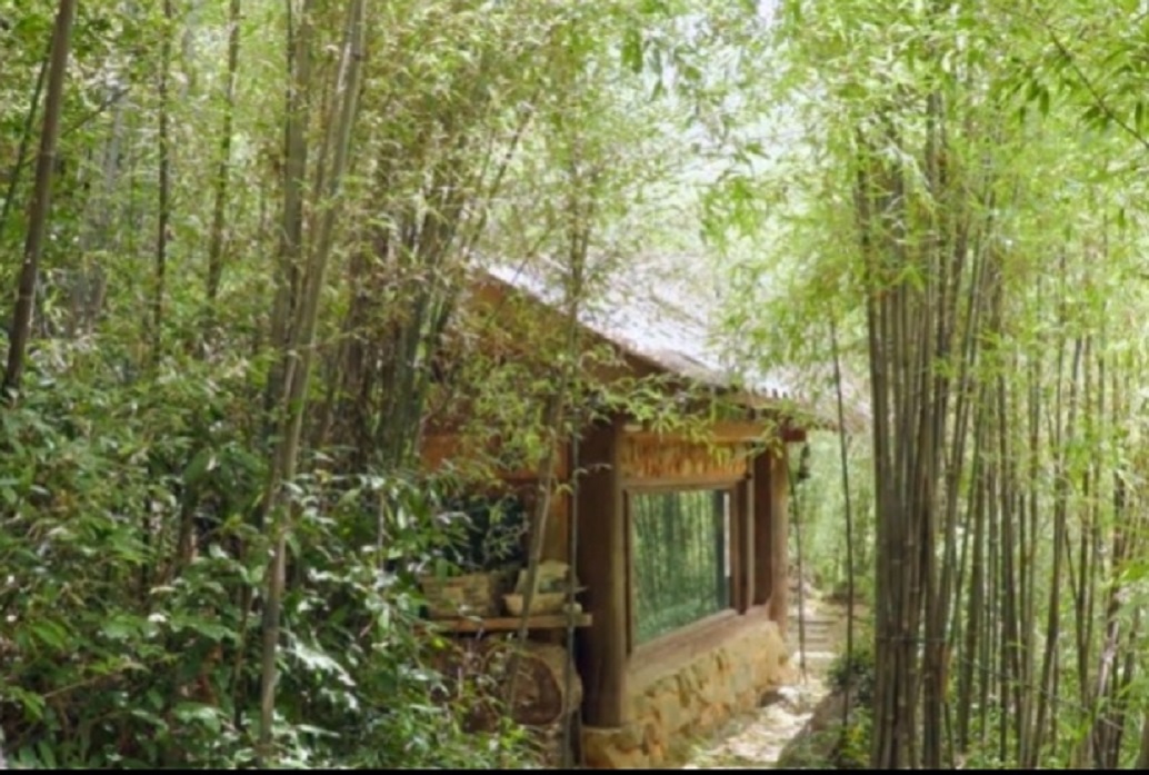 하동-지리산-오죽차-오죽헌