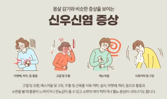 신우신염-증상