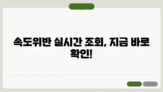 속도위반 실시간 조회 및 정확한 단속기준