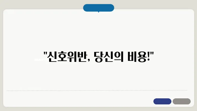신호위반 사고 가해자 벌금