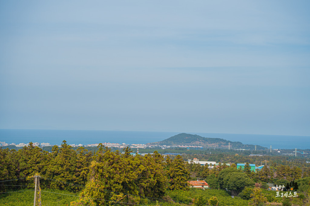 제주 조천 스위스 마을 해변