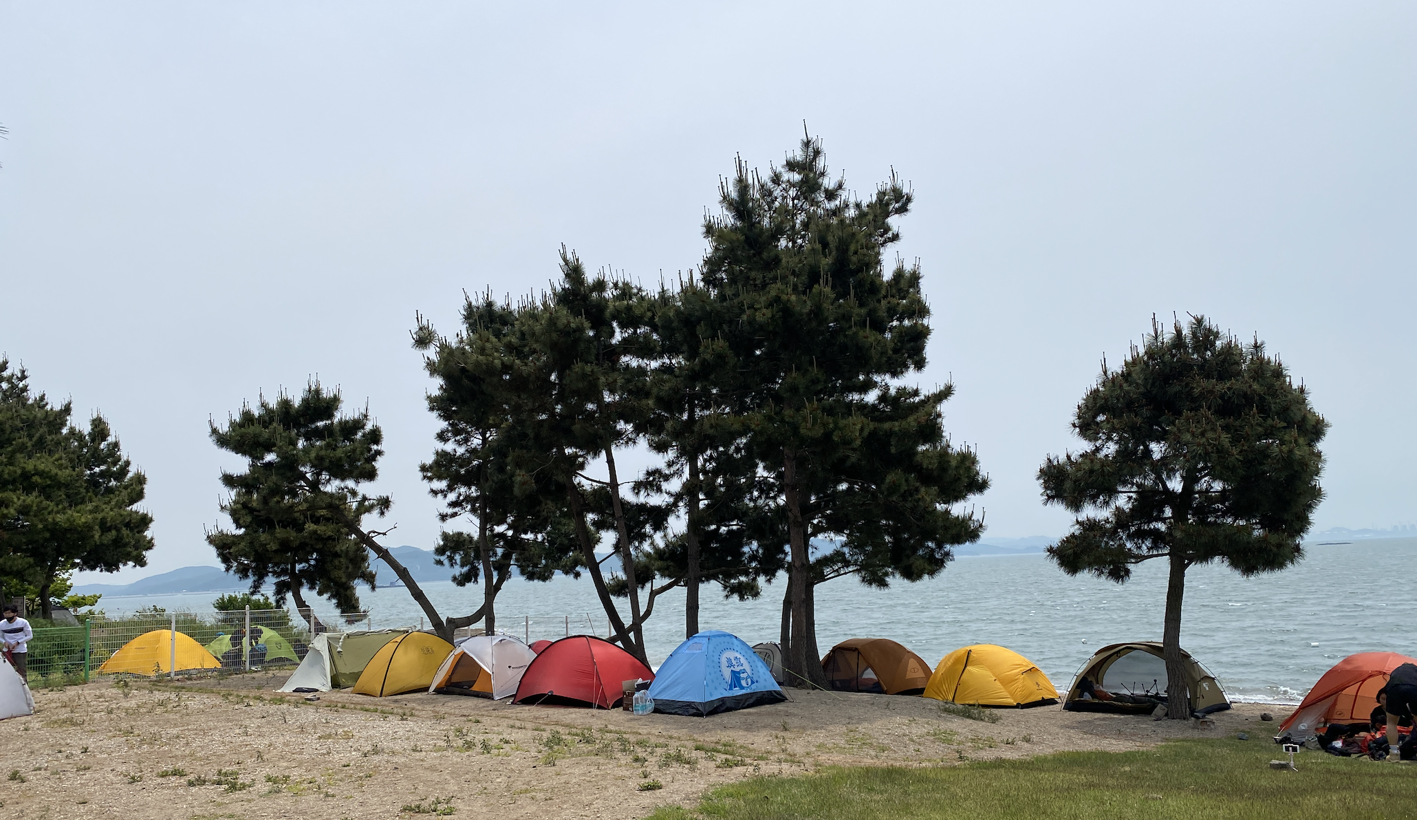 죽도 백패킹 풍경