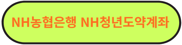 청년 도약 계좌