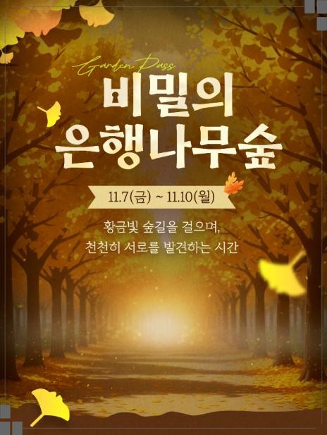 에버랜드 가든패스 필수! 11월 7일~10일, 국내 최대 '은행나무 군락지' 600명 한정 특별 개방