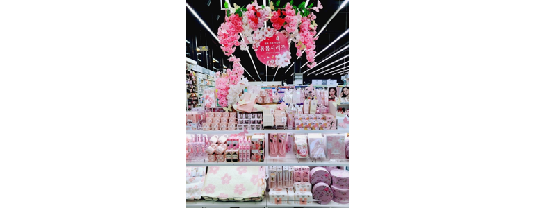 제주 제주시 종합생활용품 다이소