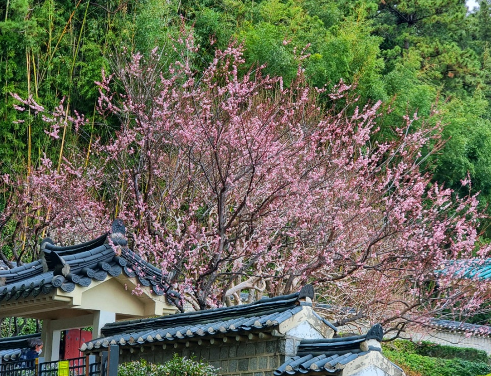 부산 충렬사 1