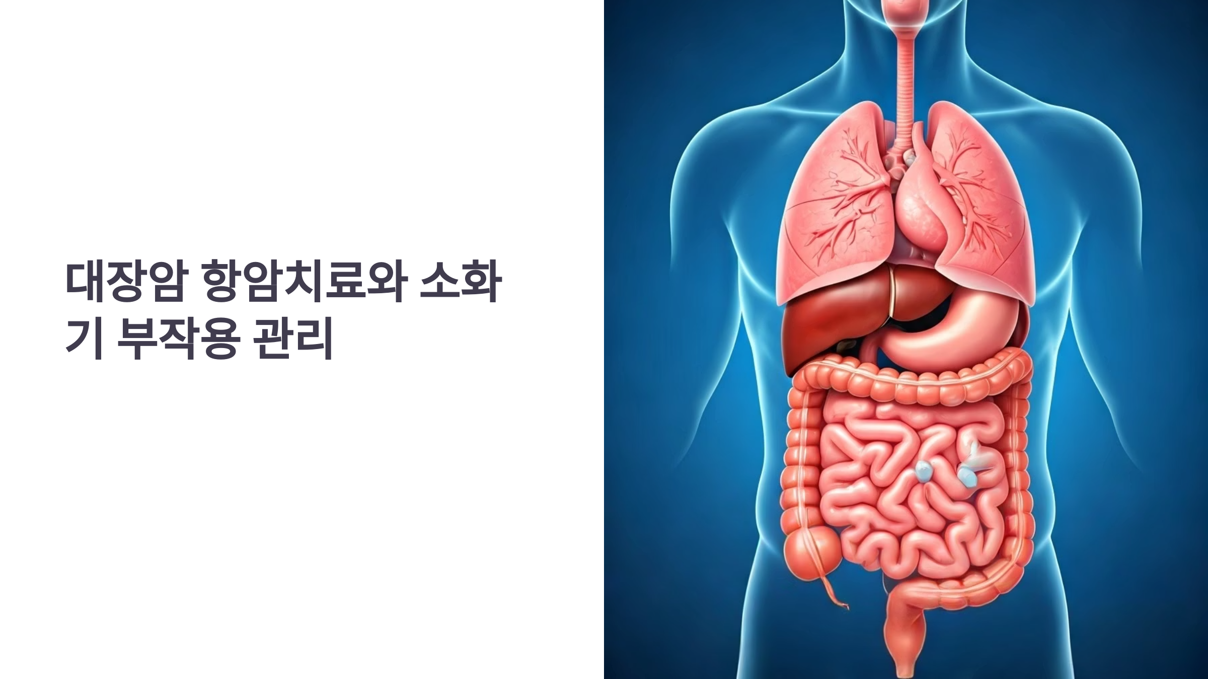 대장암 항암치료 소화기 부작용 관리