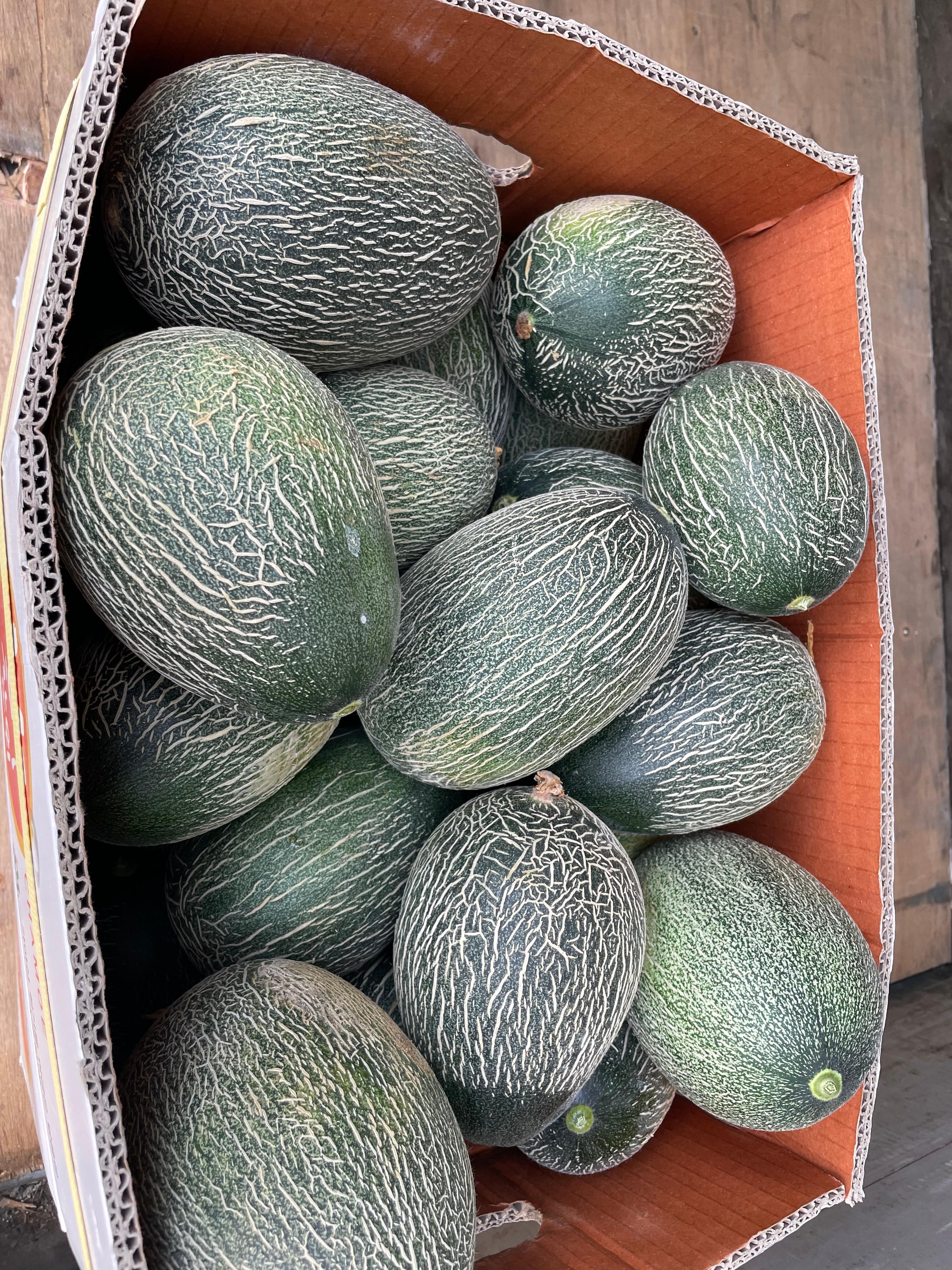 하미과멜론 건강