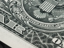 청년월세지원금