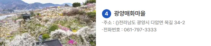 광양 매화축제 기간 2025 입장료