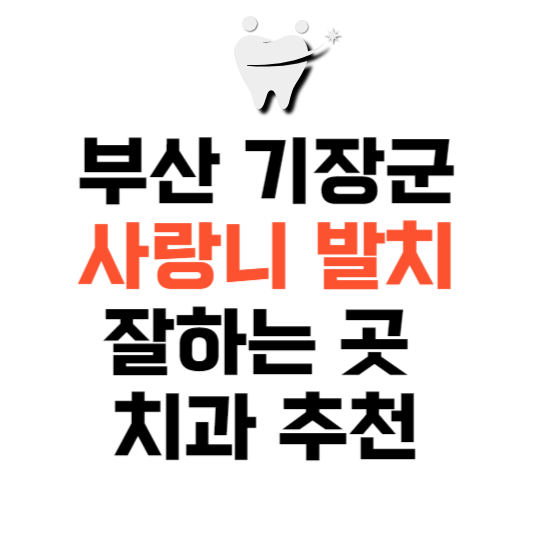 부산 기장군 사랑니 치과 발치 잘하는 곳 추천 매복 가격 비용.png