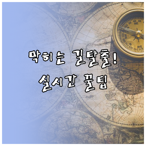 실시간 교통 상황 반영, 네이버 지도..