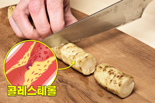 뇌혈관에 좋은 음식 우엉 효능 콜레스테롤 낮추는 음식 당뇨, 건강 팁줌 매일꿀정보