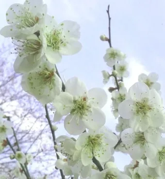 2025년 4월 달력 바탕화면 이미지 모음_16