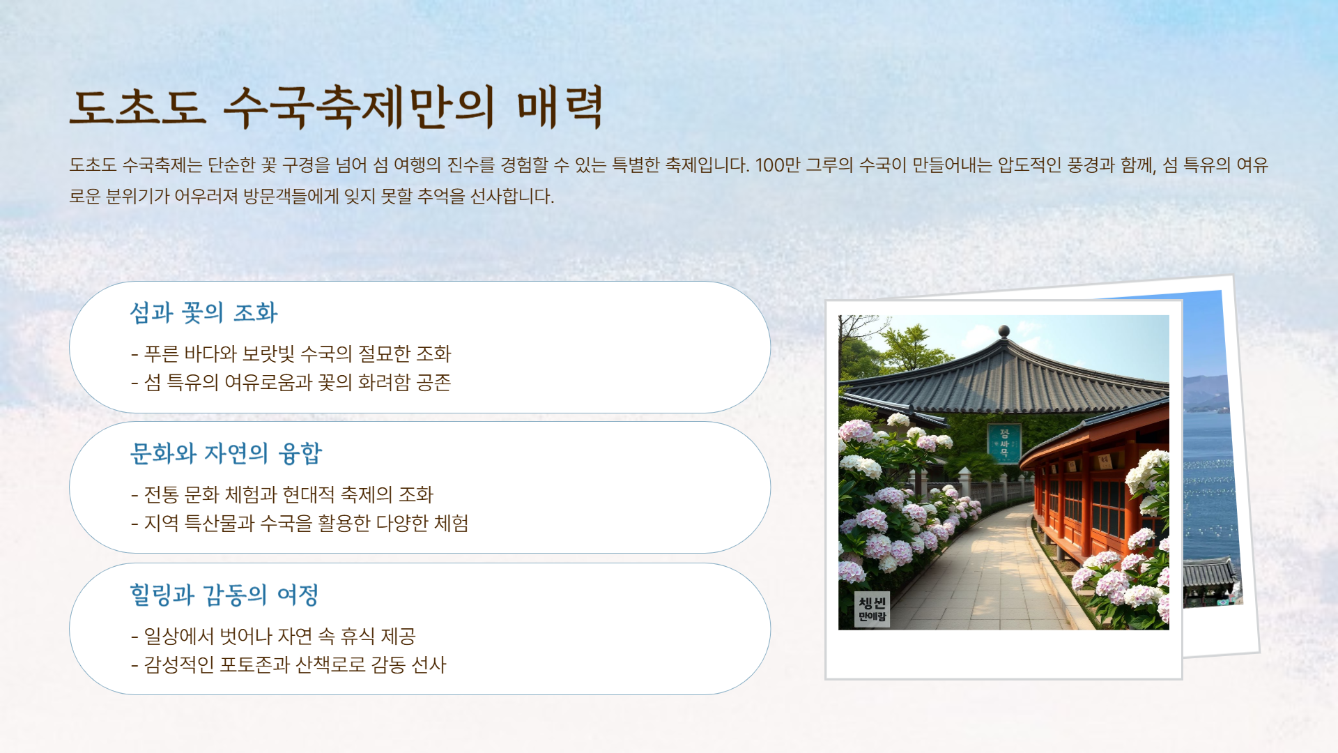 전남 신안 도초도 수국축제