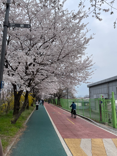 가장 좋은 공원은 자주 갈 수 있는 공원