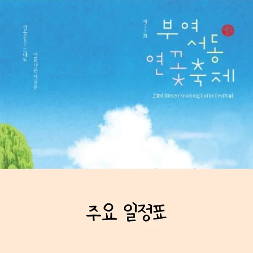 부여서동연꽃축제 완전 정리