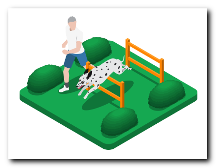 펫퍼민트-반려동물-보험