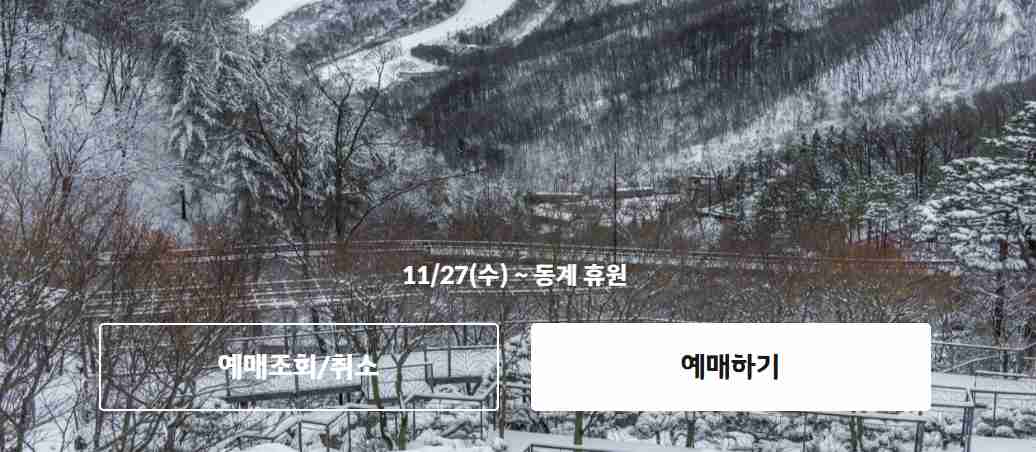 화담숲 모노레일 예약 3분 완벽 가이드