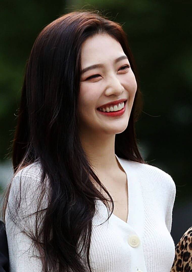 레드벨벳-조이