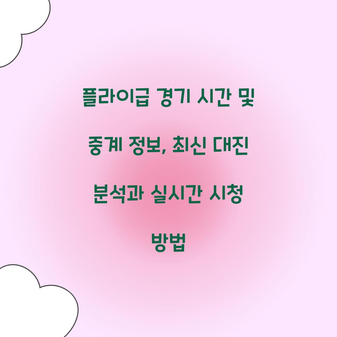 플라이급 경기 시간