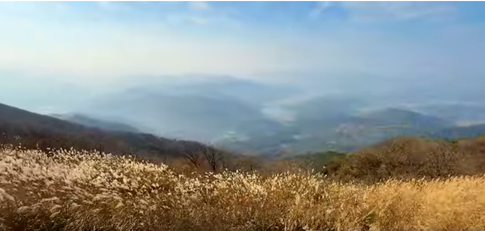 보령에있는산