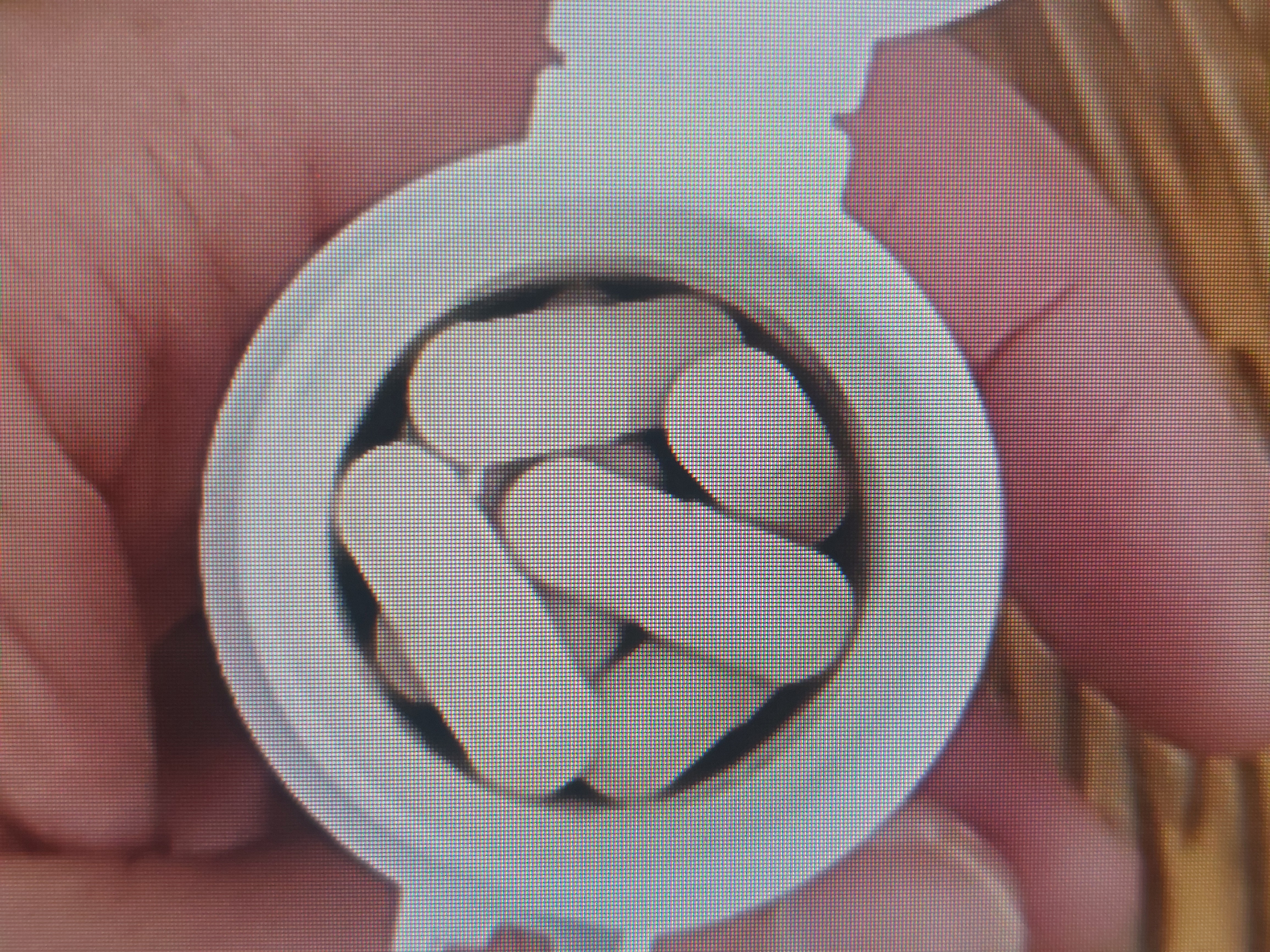 혈당유산균 복용법