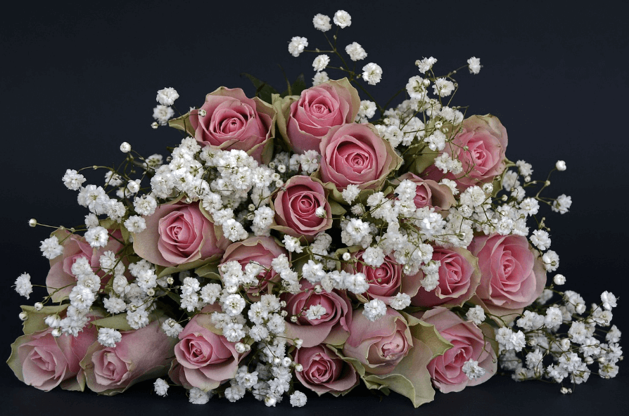 빼빼로데이 선물 추천