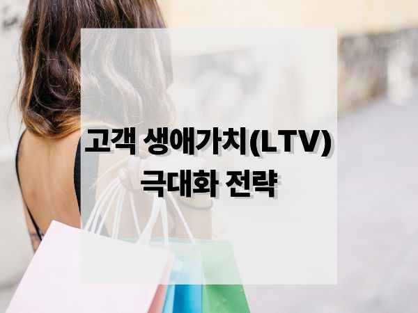 고객 생애가치(LTV) 극대화 전략: 지속 성장을 위한 핵심 마케팅 로드맵