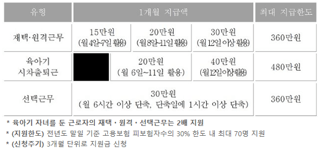 유연근무 장려금 지원 내용
