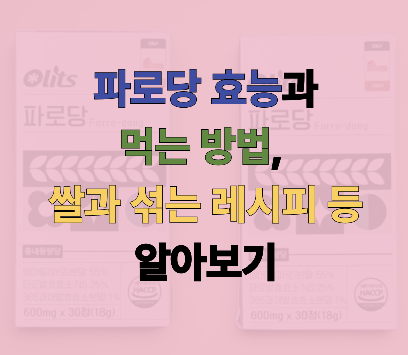 파로당에 관한 글 보러 가기 링크 사진