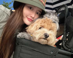 에이민과 강아지 사진