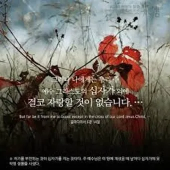 갈라디아서 6장 14절 묵상 십자가의 자랑_37