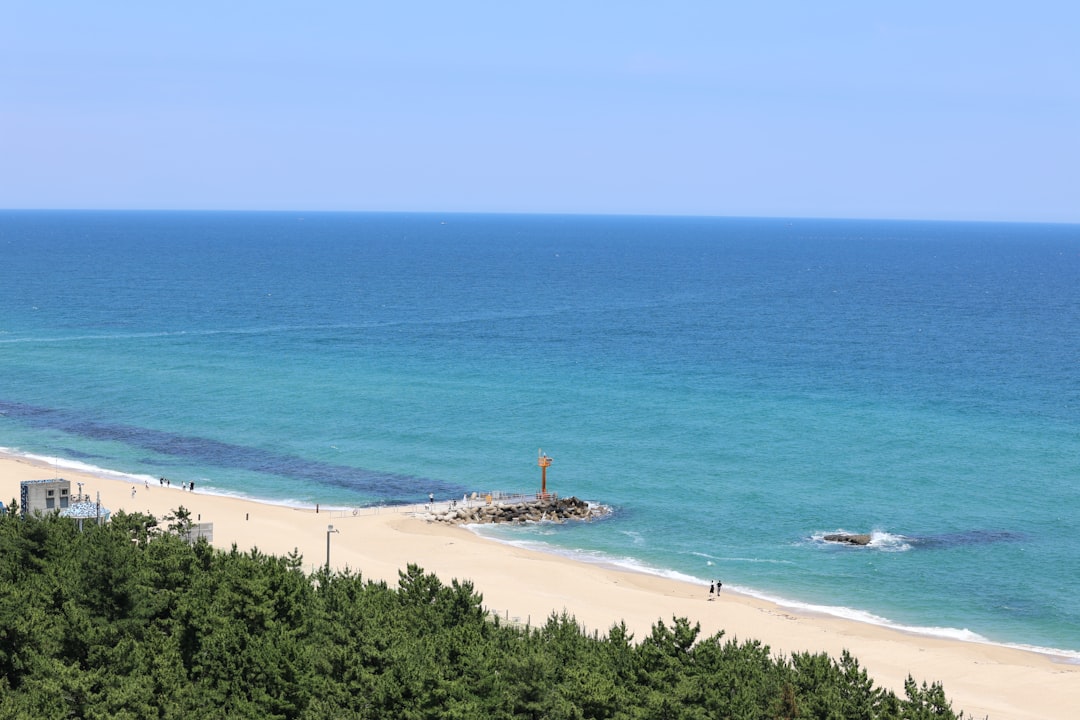 Gangneung