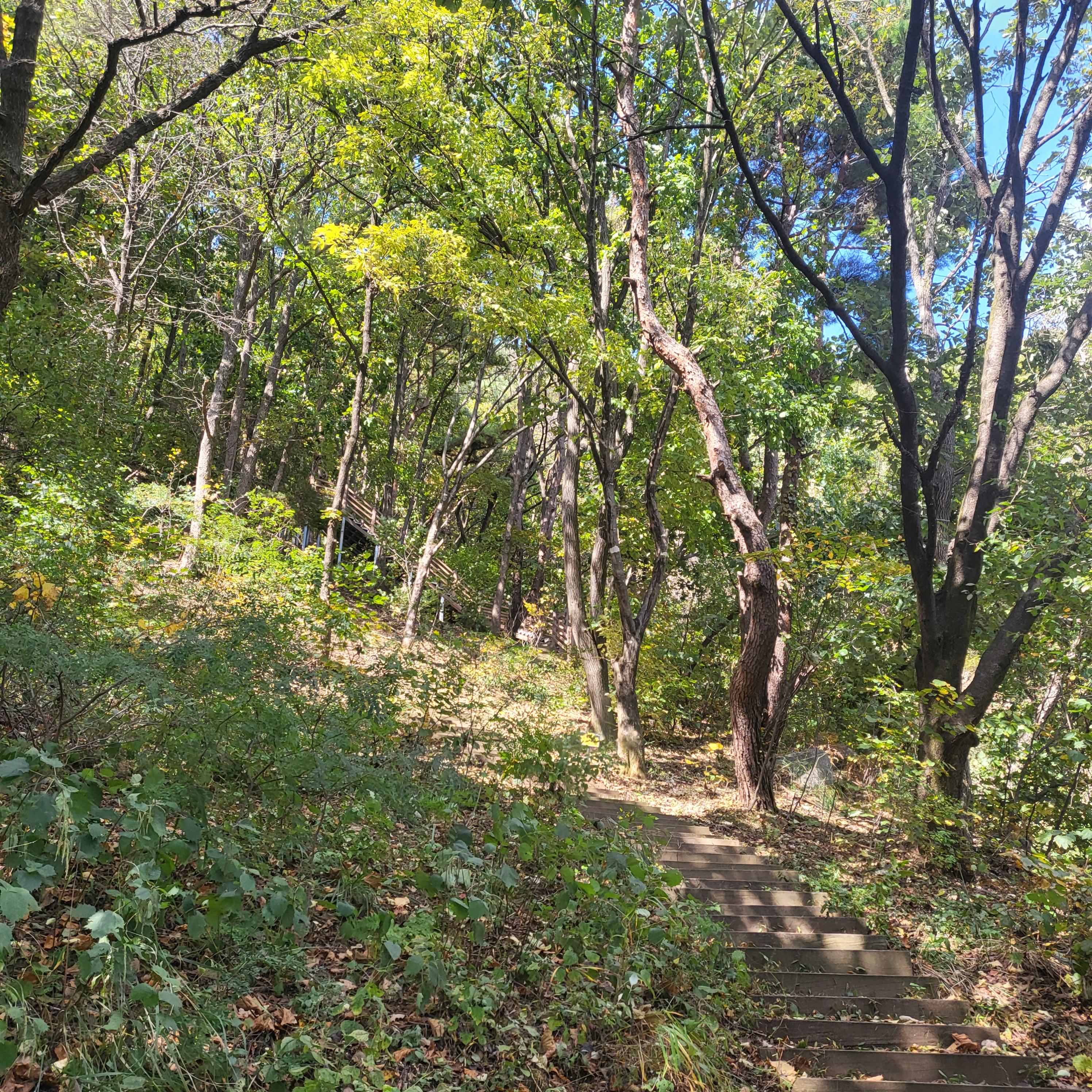 쉬자파크-등산로