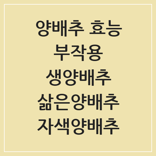 양배추 효능과 부작용: 위염에 좋은 생양배추와 삶은양배추, 자색양배추의 차이점